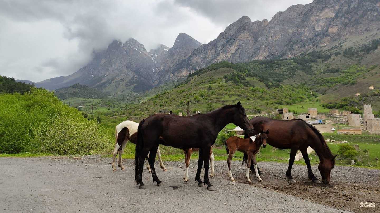 Отзывы на компанию Пятигорск в г. Пятигорск c фото