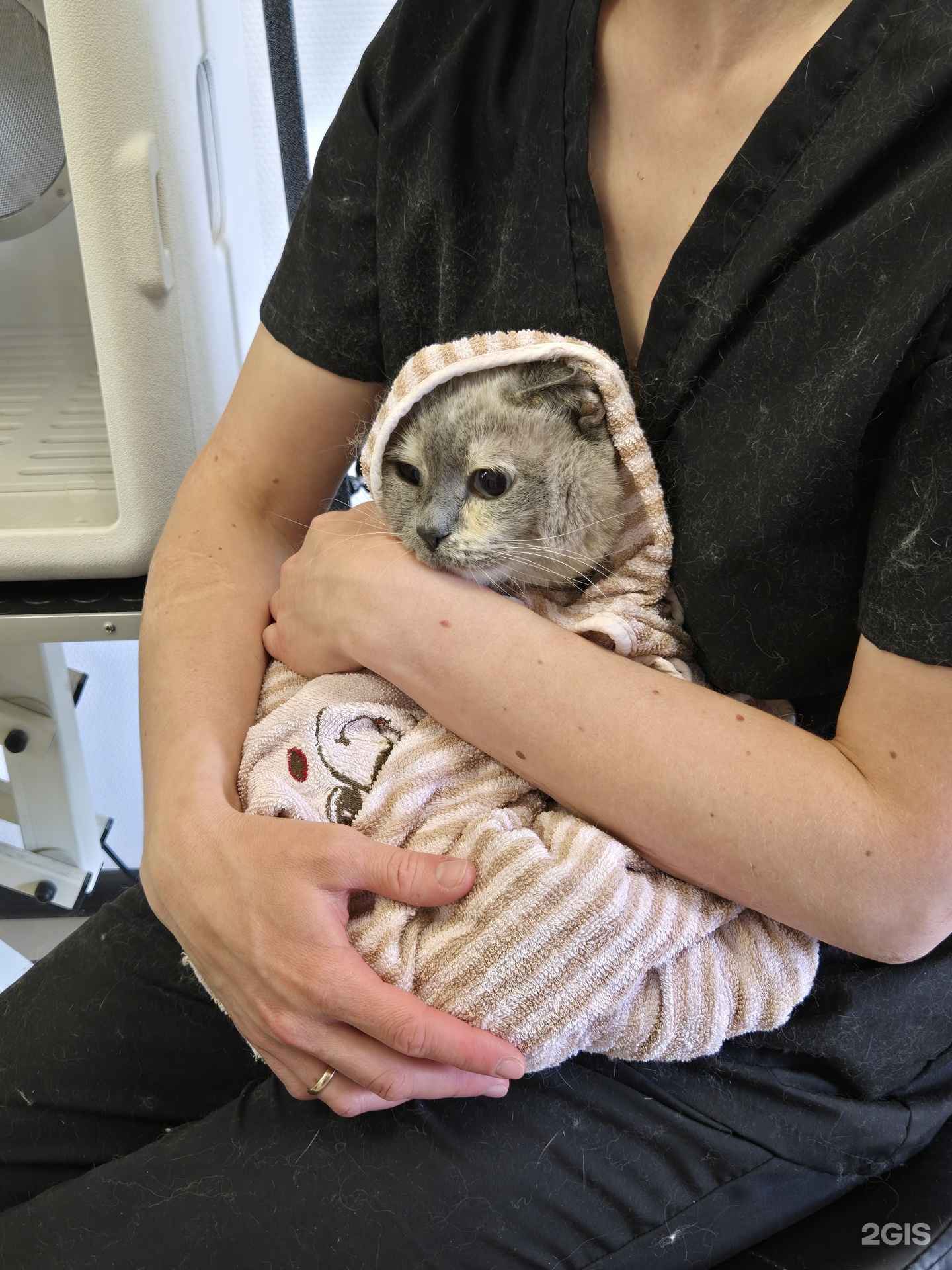 Отзывы на компанию МойБарбос в Перми c фото