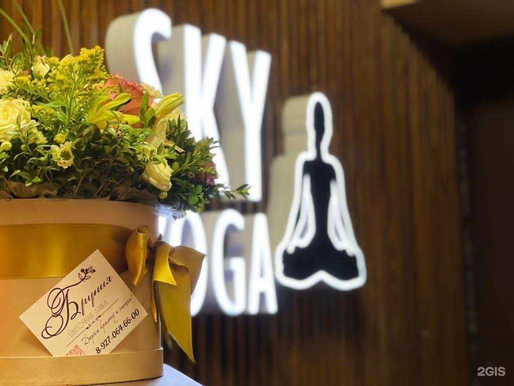 Отзывы на компанию Sky Yoga в г. Волгоград c фото