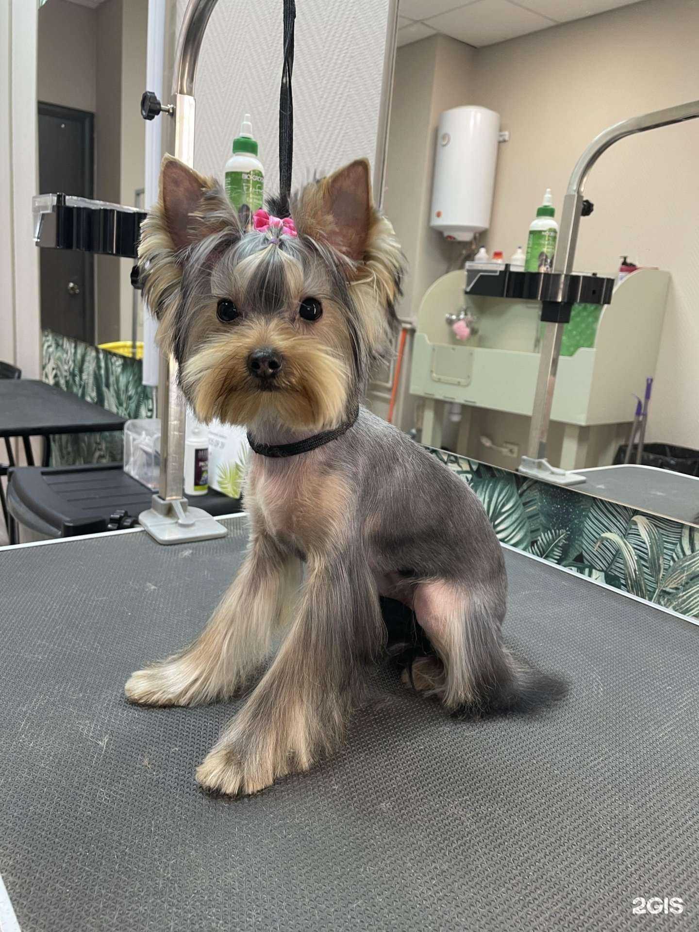 Отзывы на компанию ЙОРК в г. Кострома c фото