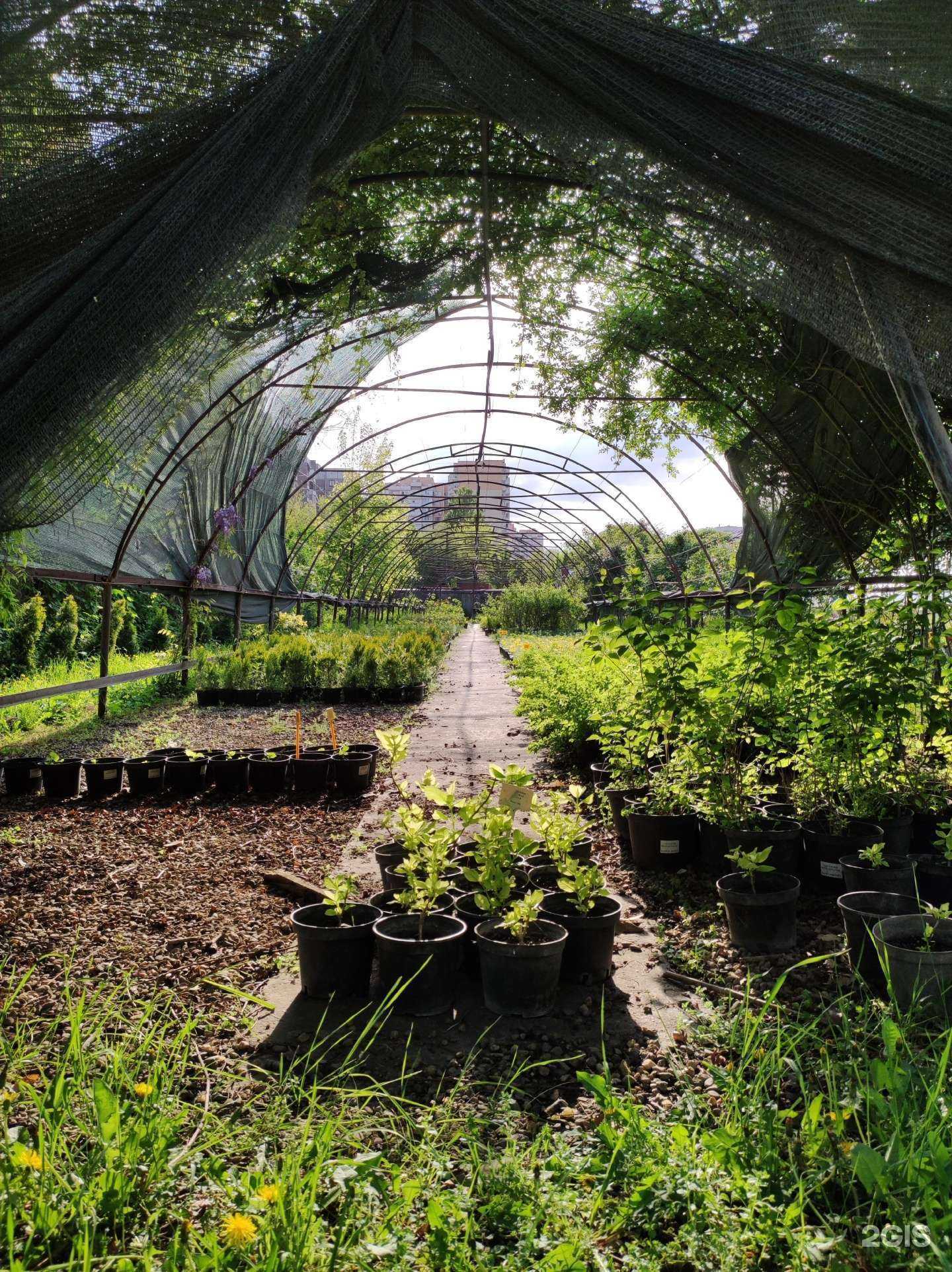 Отзывы на компанию Садовый центр в г. Краснодар c фото