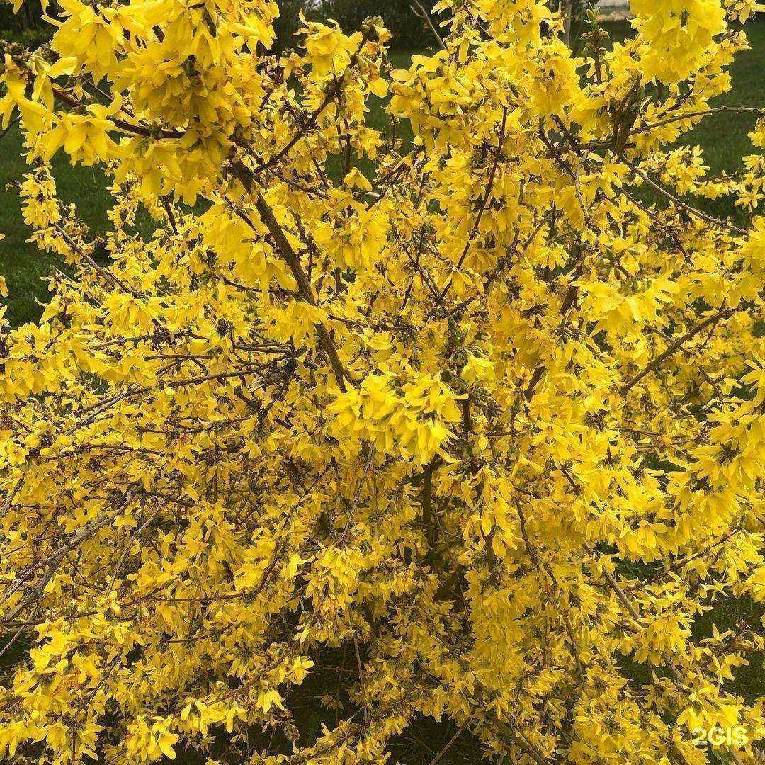 Отзывы на компанию Фантазия в Орле c фото