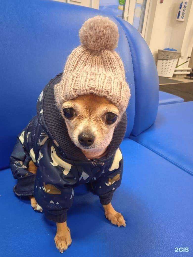 Отзывы на компанию Bauer Сliniс в Красноярске c фото