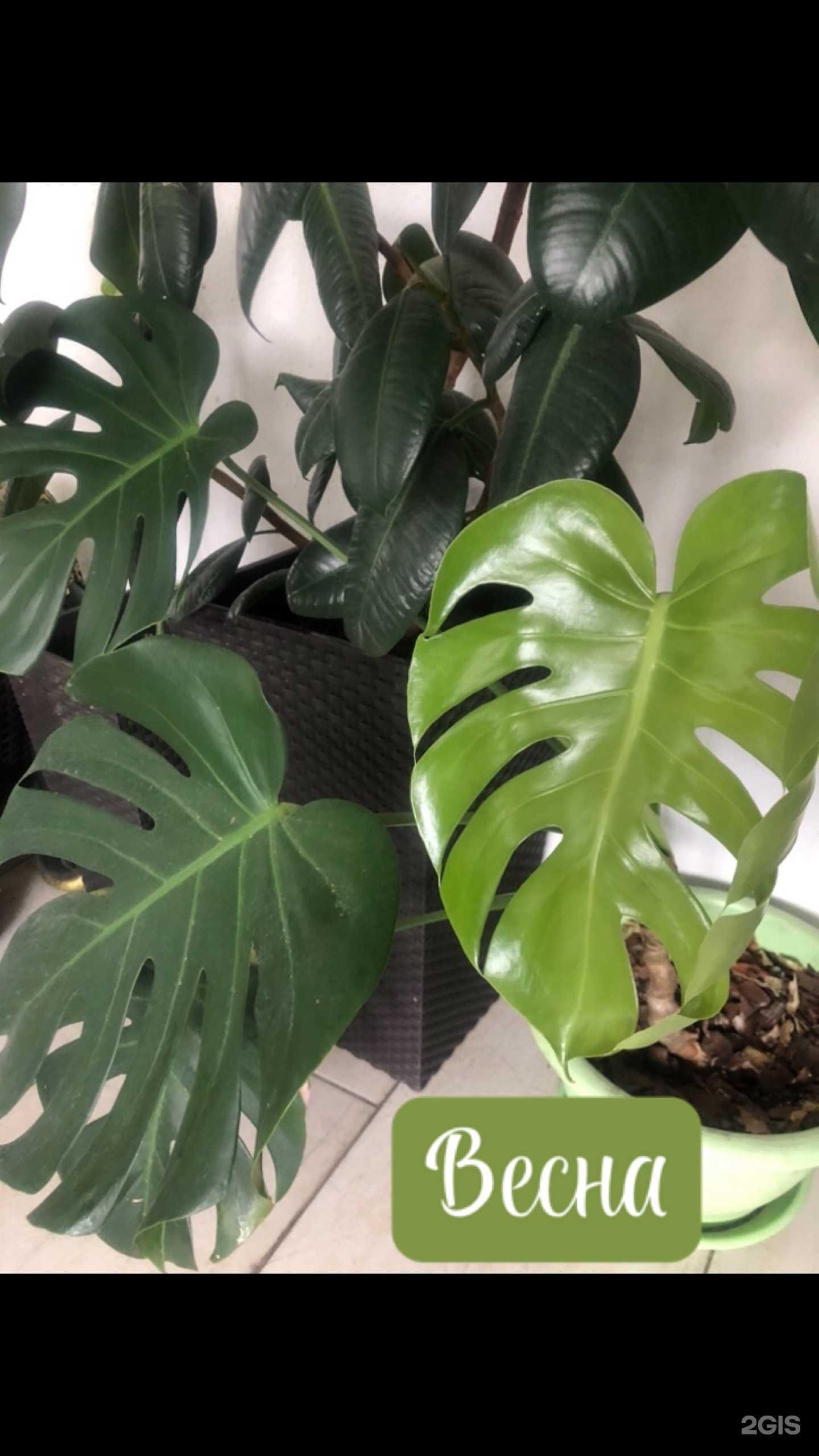 Отзывы на компанию Студия красоты в г. Новосибирск c фото