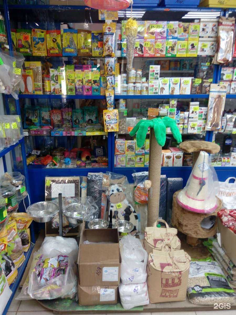 Отзывы на компанию Айболит 74 в г. Чебаркуль c фото