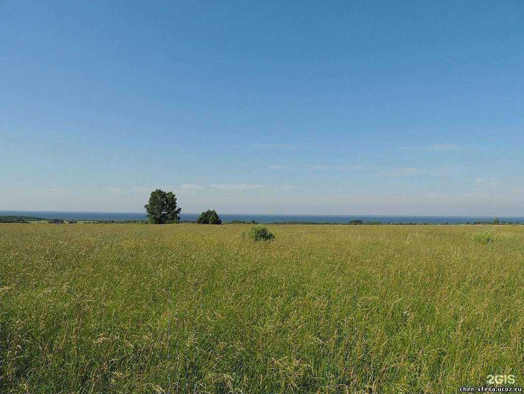 Отзывы на компанию Сфера в Череповце c фото