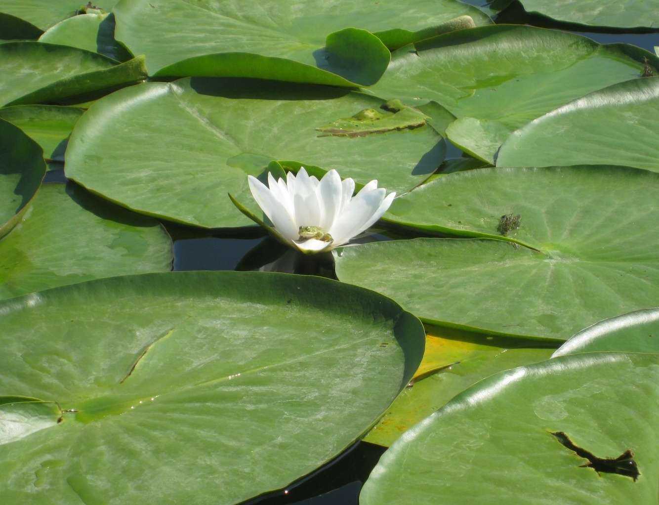 Отзывы на компанию Эко партнер в г. Воронеж c фото