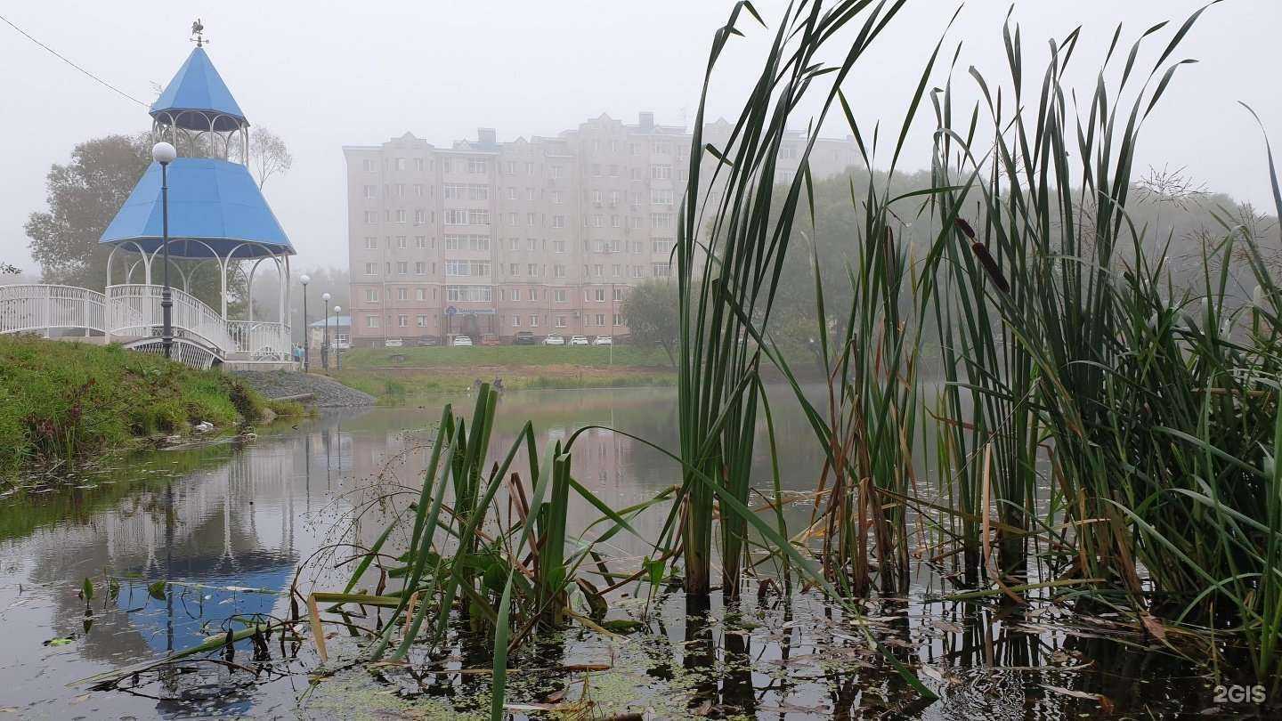 Отзывы на компанию Сафарики  в Бронницах c фото - фотография 2 из 2
