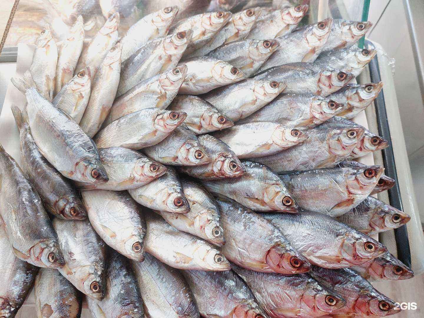 Отзывы на компанию Живая рыба в Нижневартовске c фото