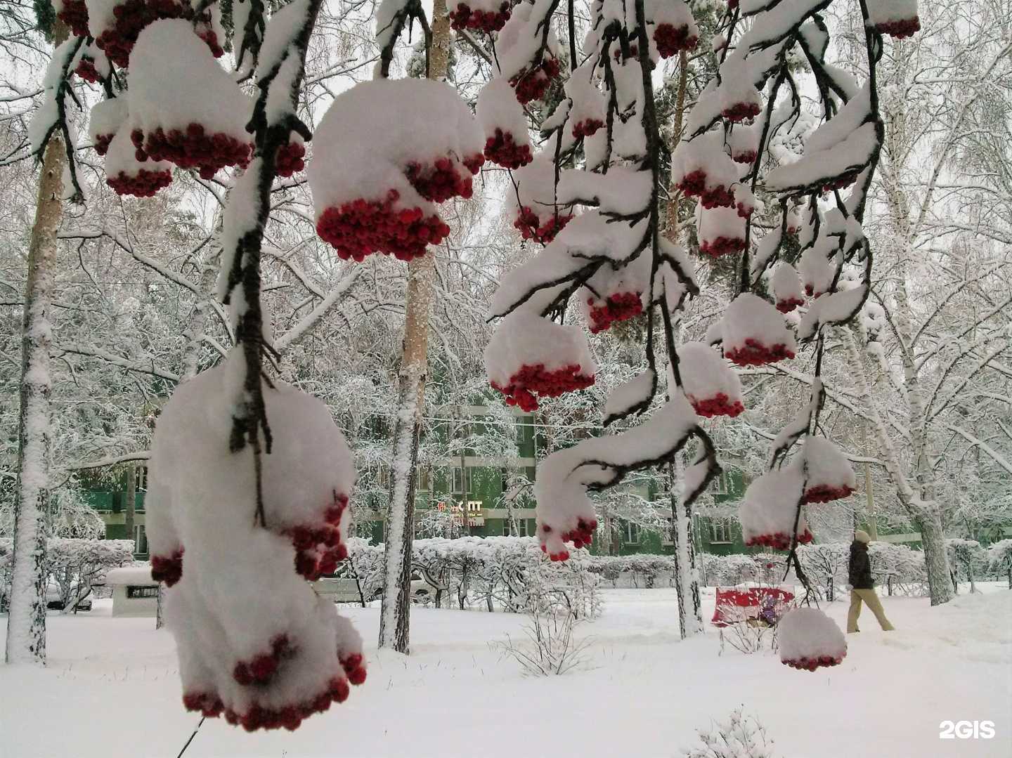 Отзывы на компанию 7 Чудес в Новосибирске c фото