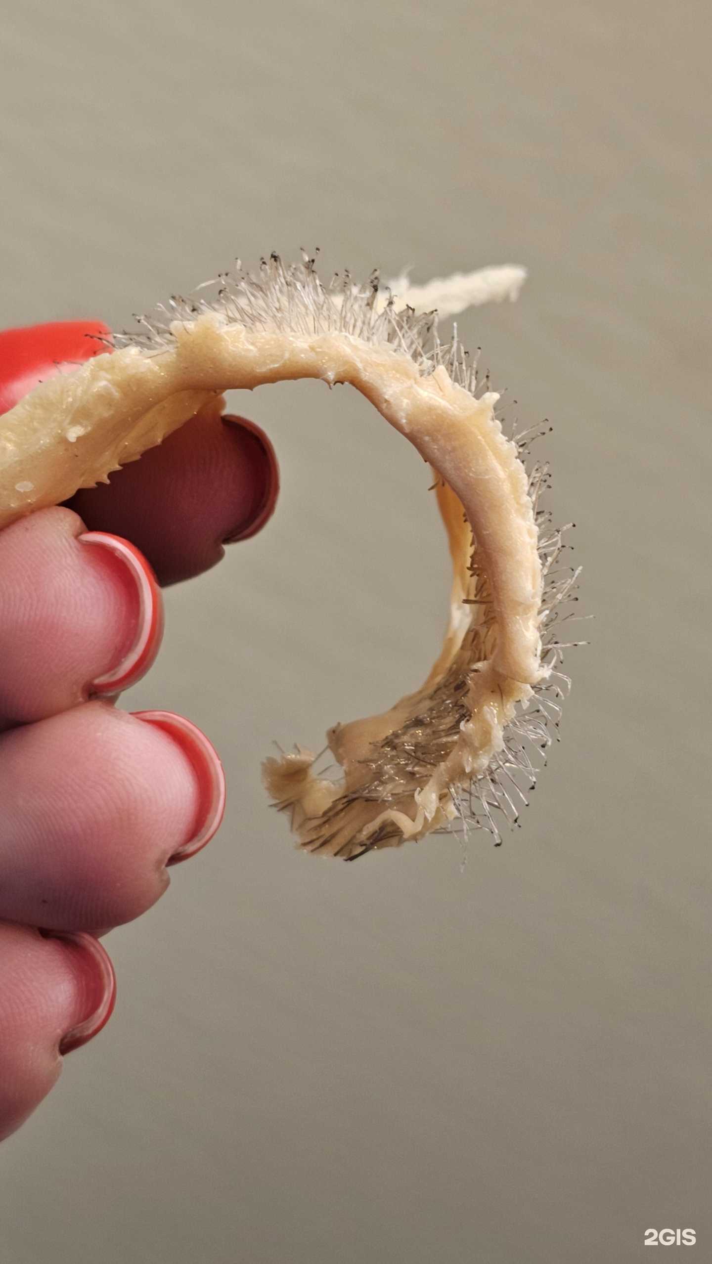 Отзывы на компанию NuDe в Сочи c фото