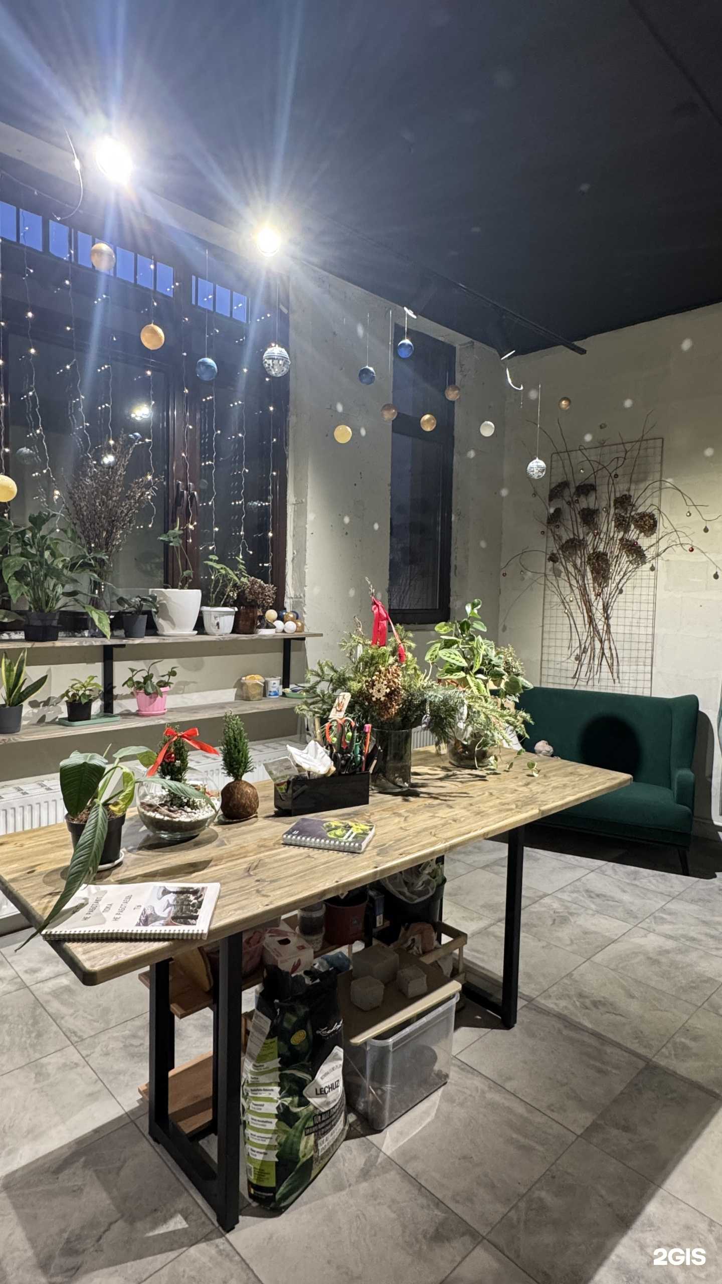 Отзывы на компанию Озелени в Ярославле c фото