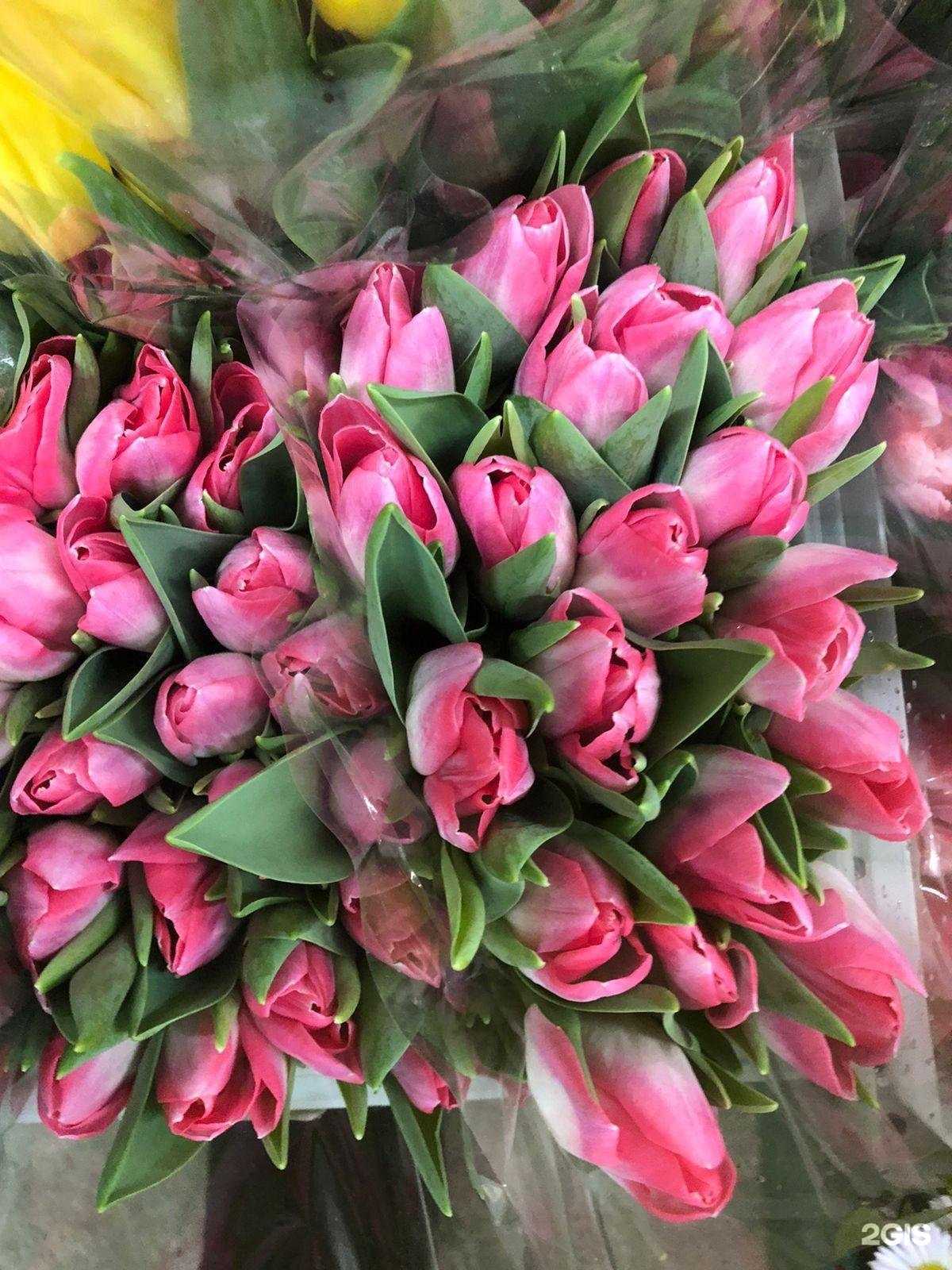 Отзывы на компанию Цветочный магазин в Сочи c фото