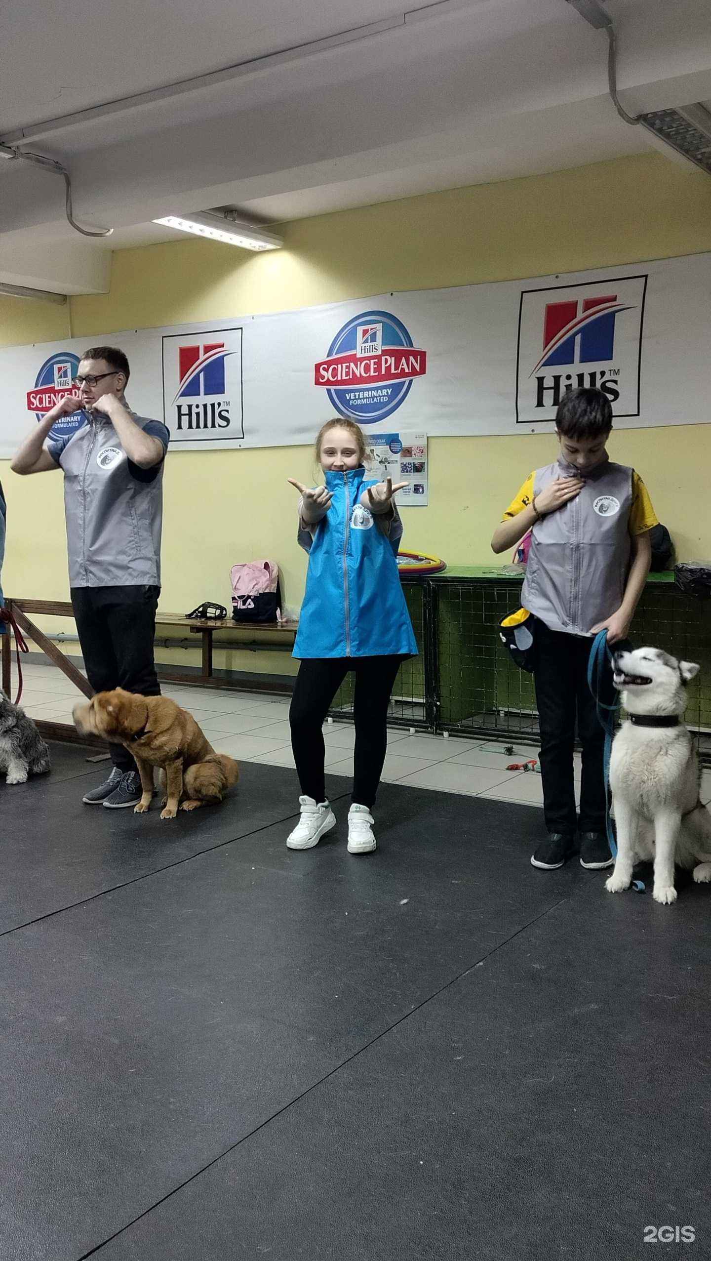 Отзывы на компанию Альмавет в Барнауле c фото