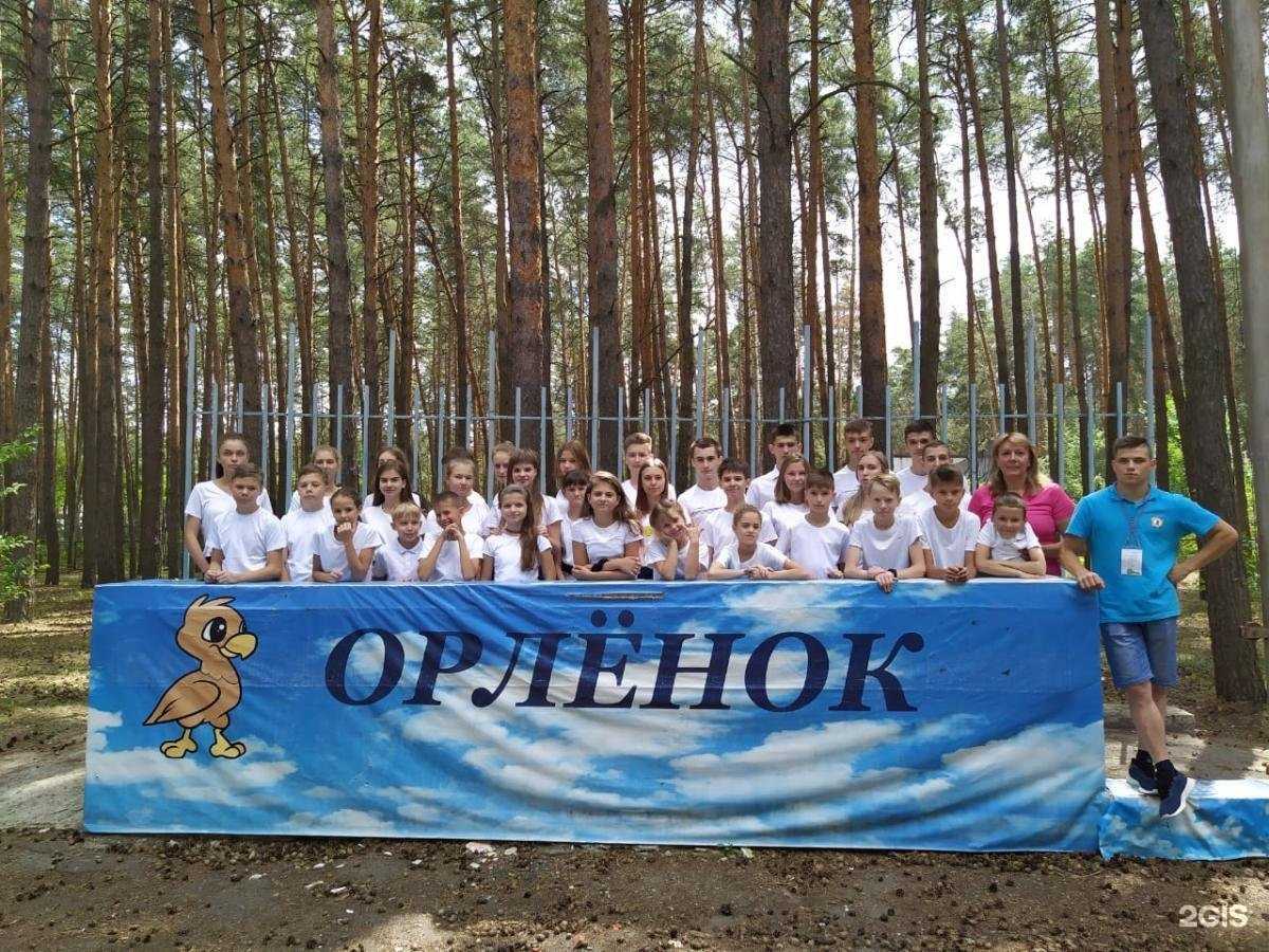 Отзывы на компанию Виктория в г. Курск c фото