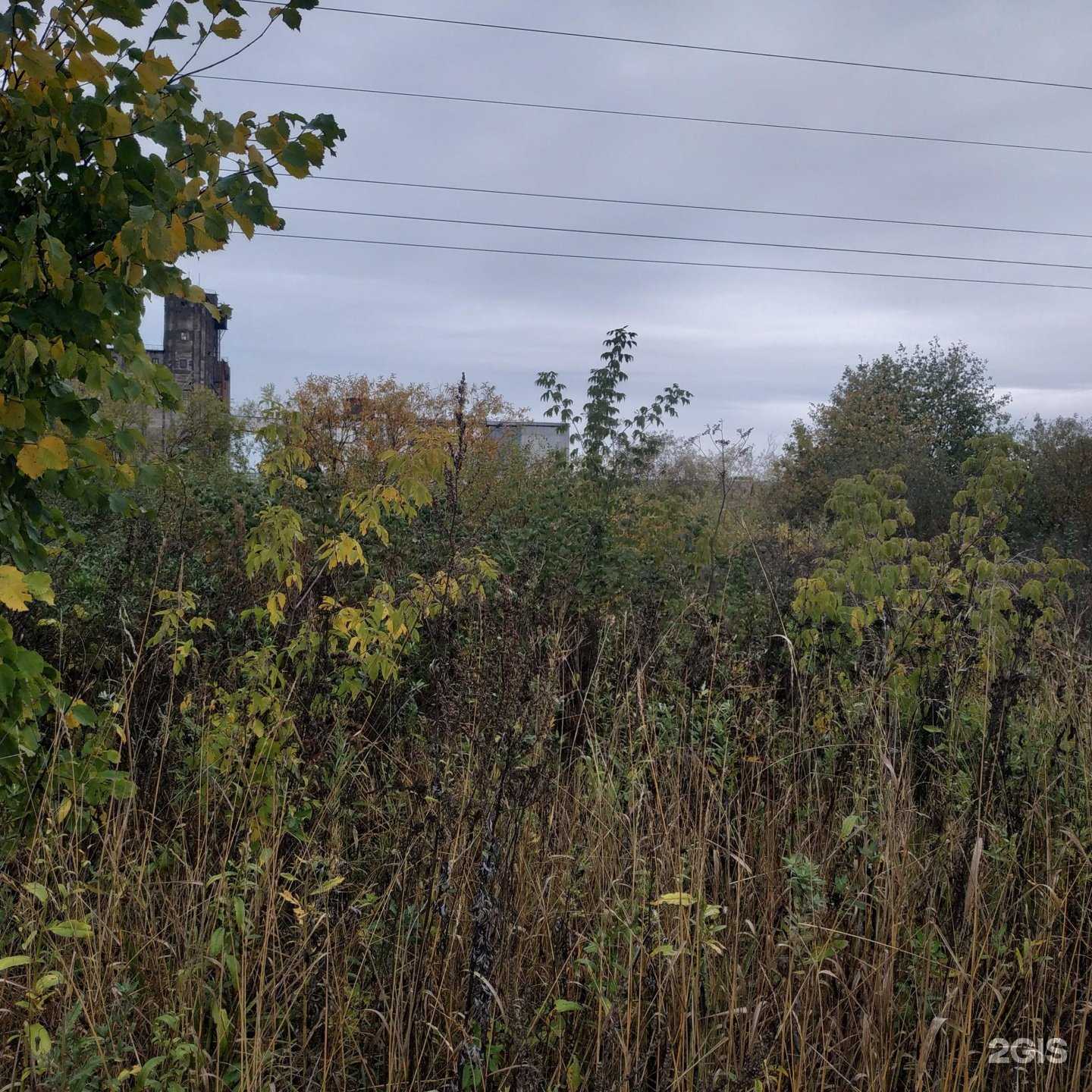 Отзывы на компанию Стандарт в Вологде c фото - фотография 2 из 2