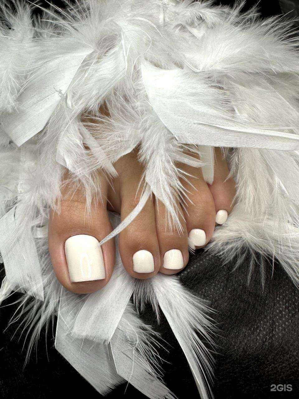 Отзывы на компанию Bella в г. Краснодар c фото