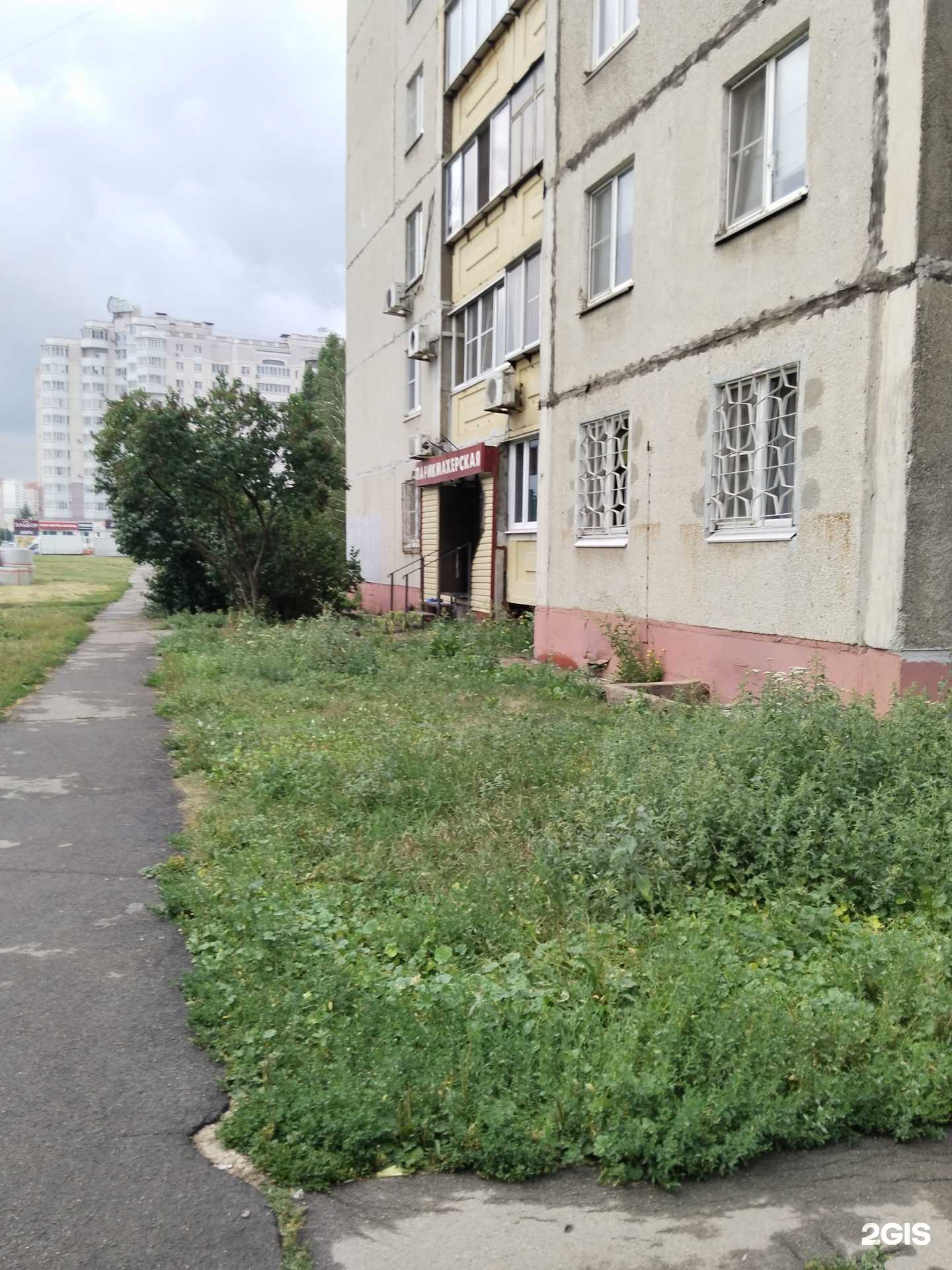 Отзывы на компанию Анна в Липецке c фото