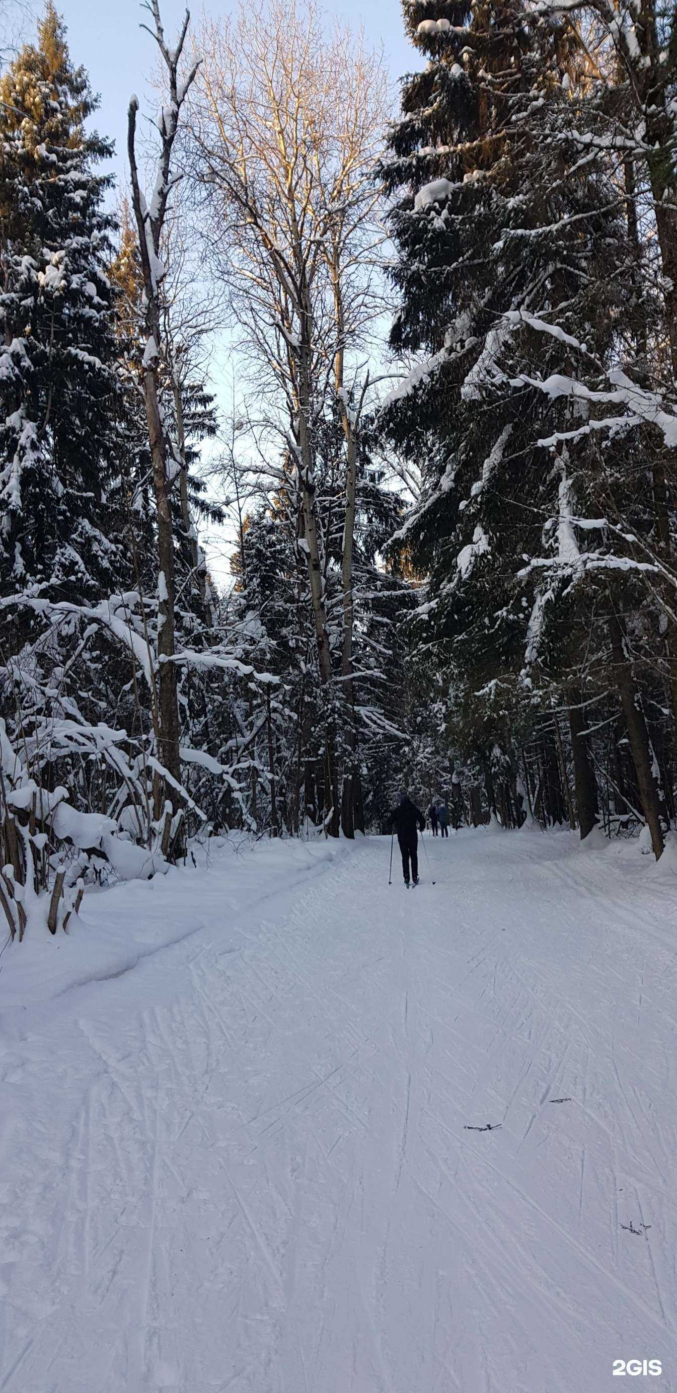 Отзывы на компанию Зоркий в Красногорске c фото