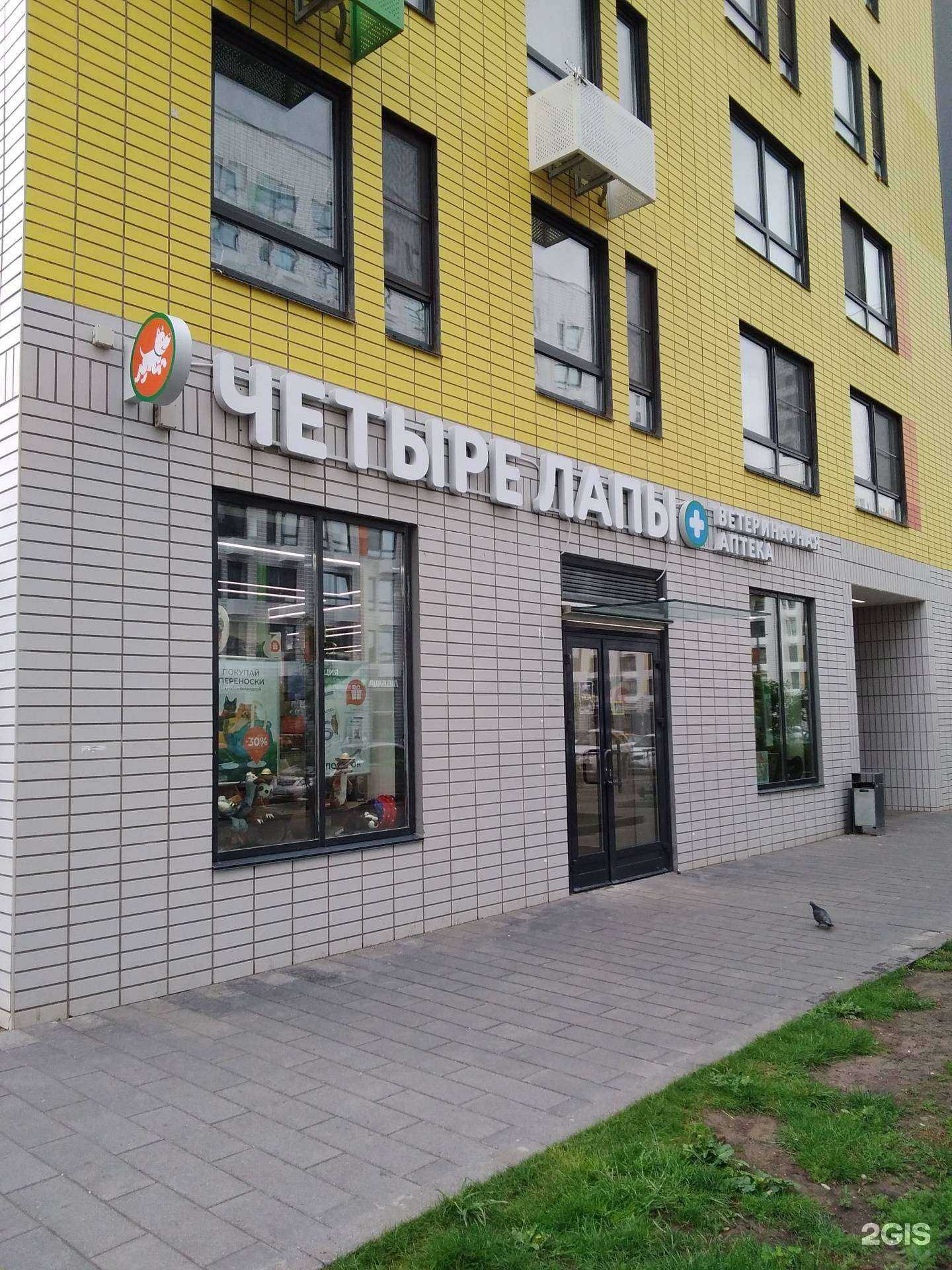 Отзывы на компанию Четыре лапы в г. Коммунарка c фото