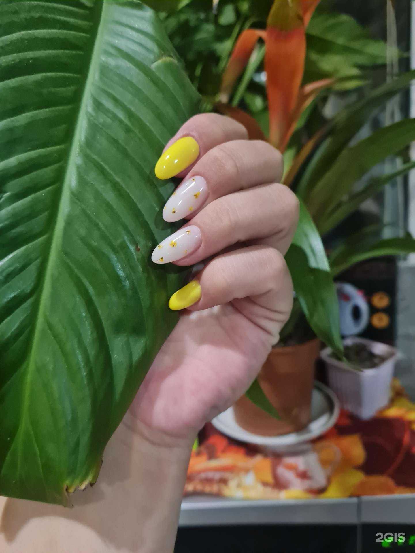 Отзывы на компанию Мята в Омске c фото