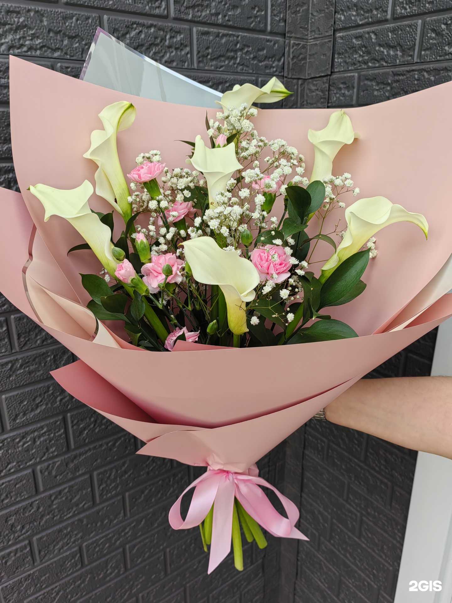 Отзывы на компанию Камелия в Находке c фото