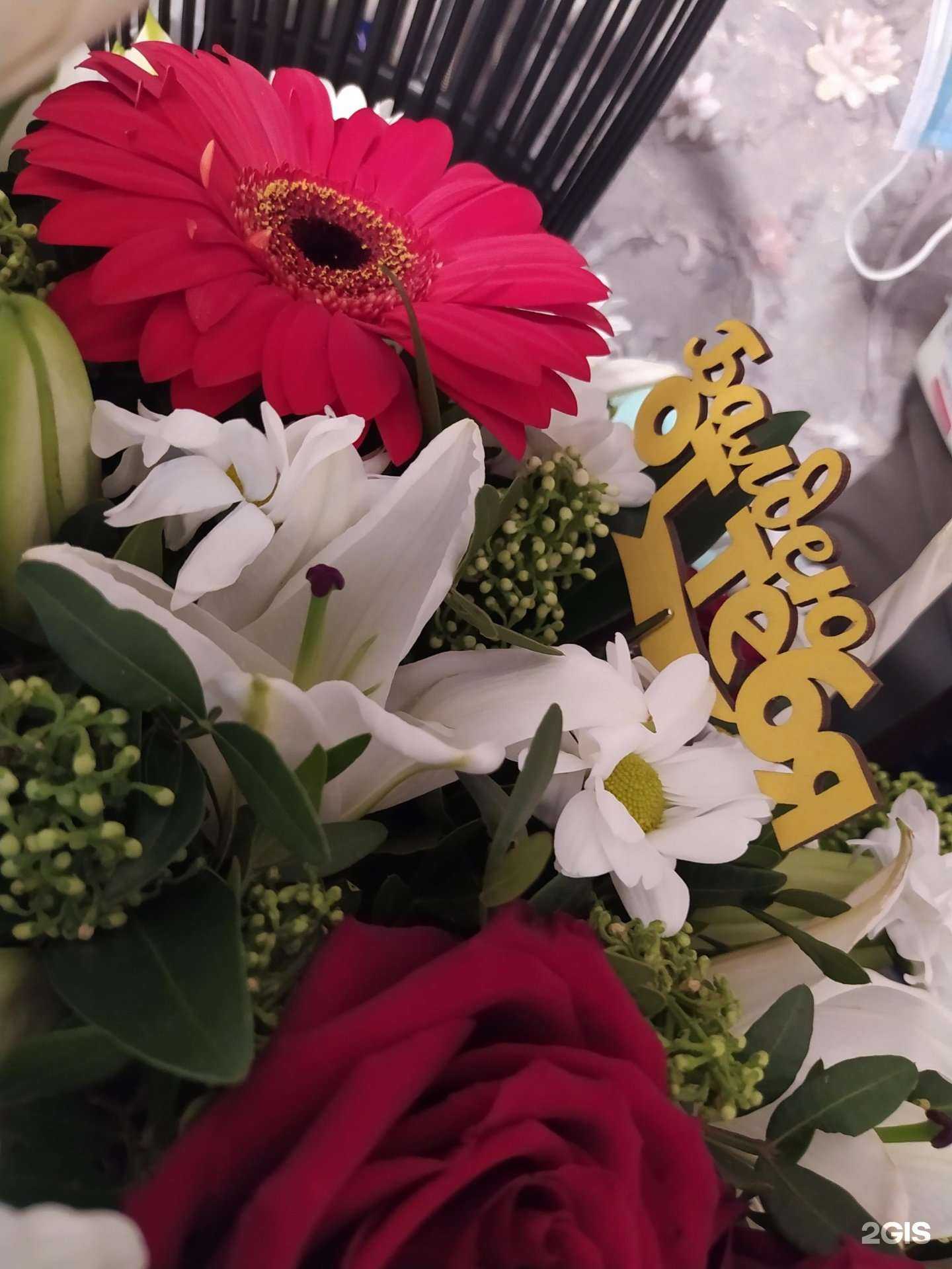 Отзывы на компанию Лев в Ярославле c фото - фотография 2 из 2