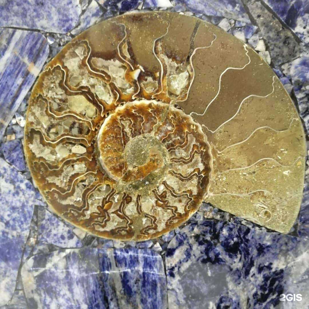 Отзывы на компанию Сура Камень в Пензе c фото