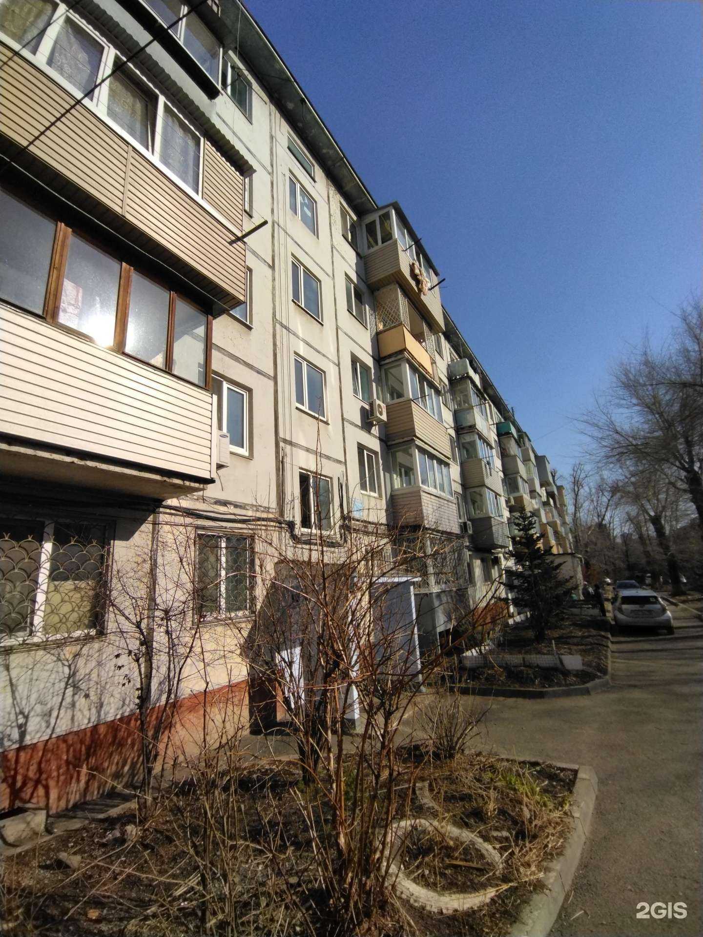 Отзывы на компанию Мишка в Владивостоке c фото - фотография 2 из 2