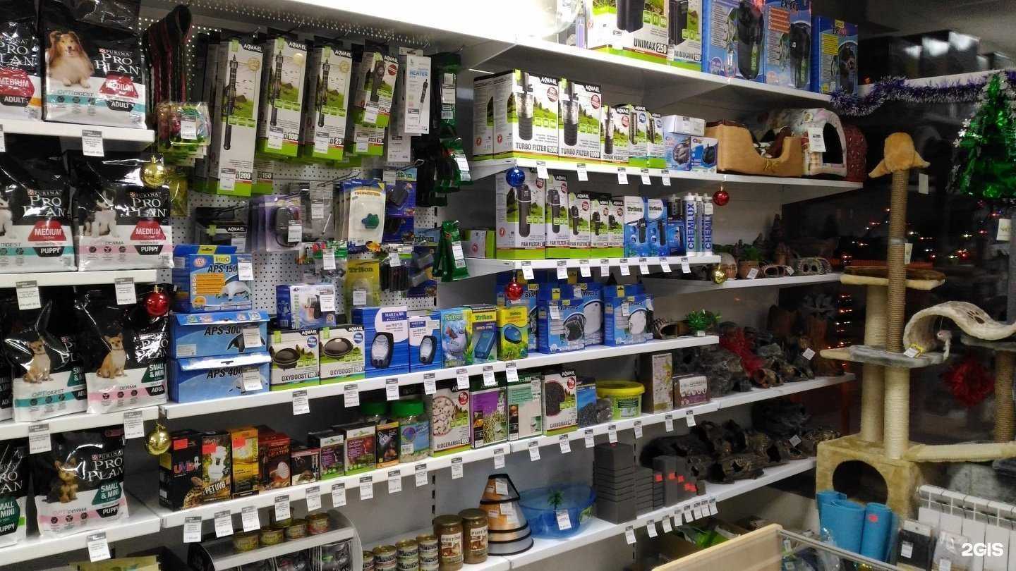 Отзывы на компанию Lucky hamster в г. Набережные Челны c фото