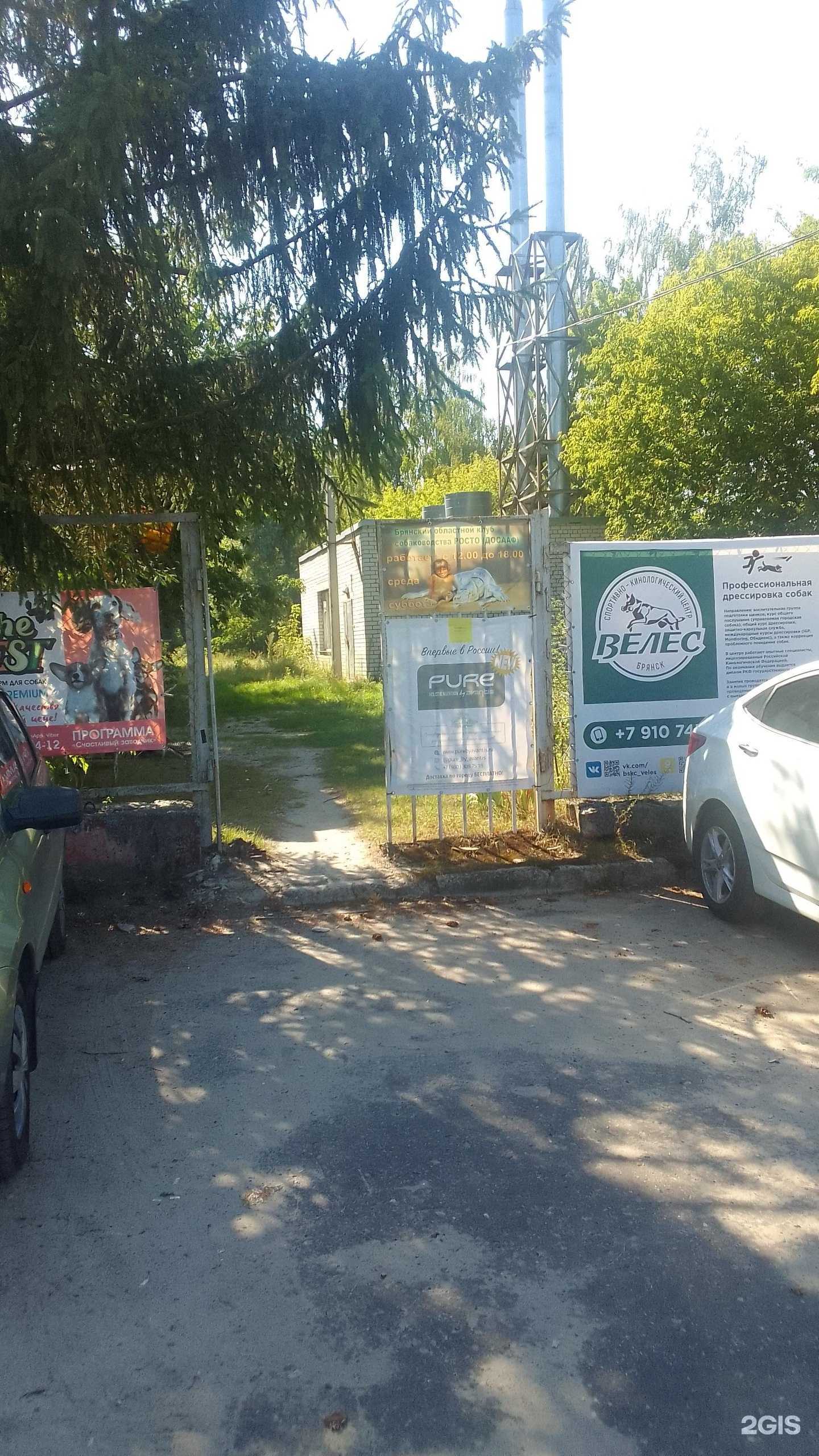 Отзывы на компанию Брянский областной клуб собаководства в Брянске c фото