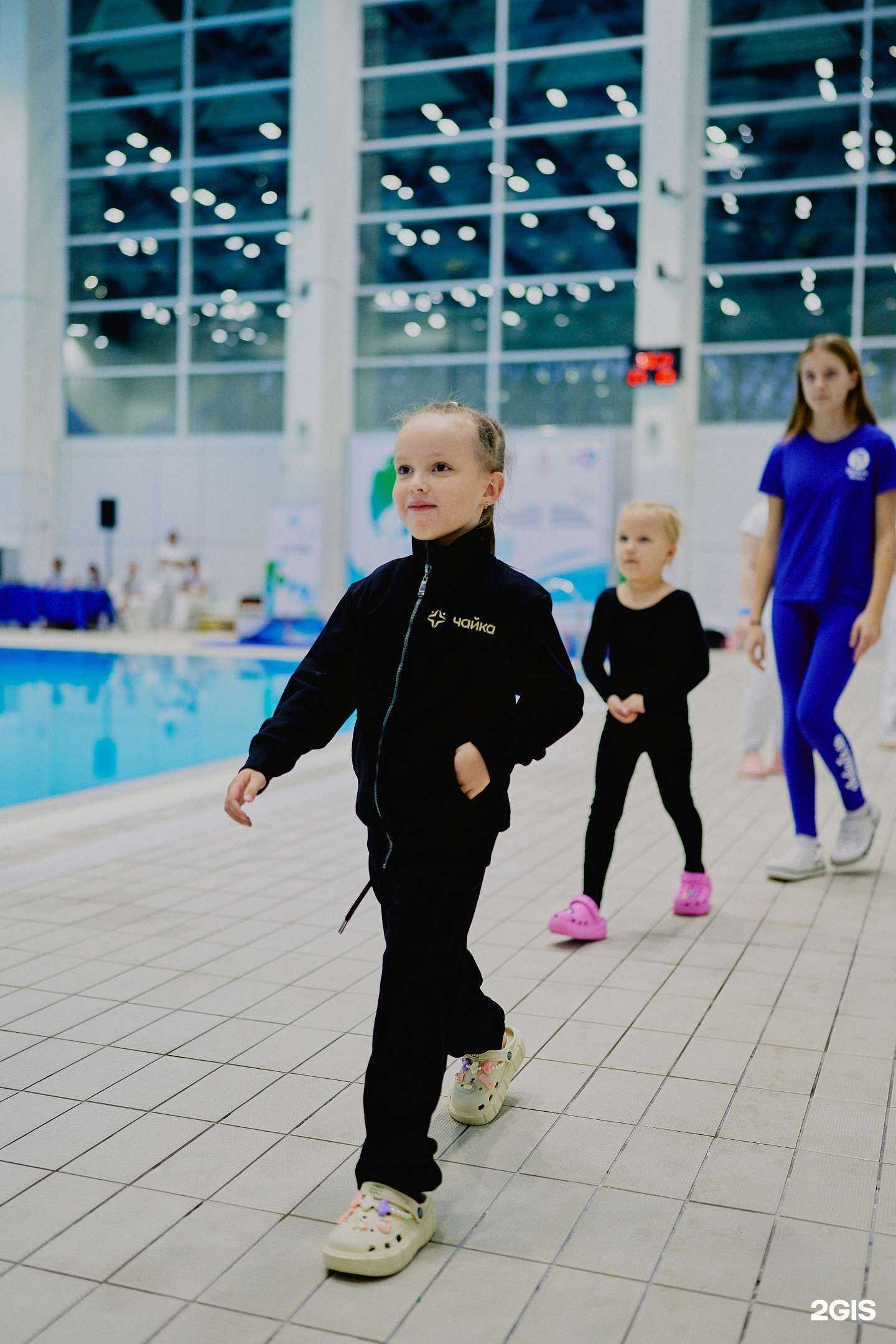 Отзывы на компанию Чайка в г. Красногорск c фото