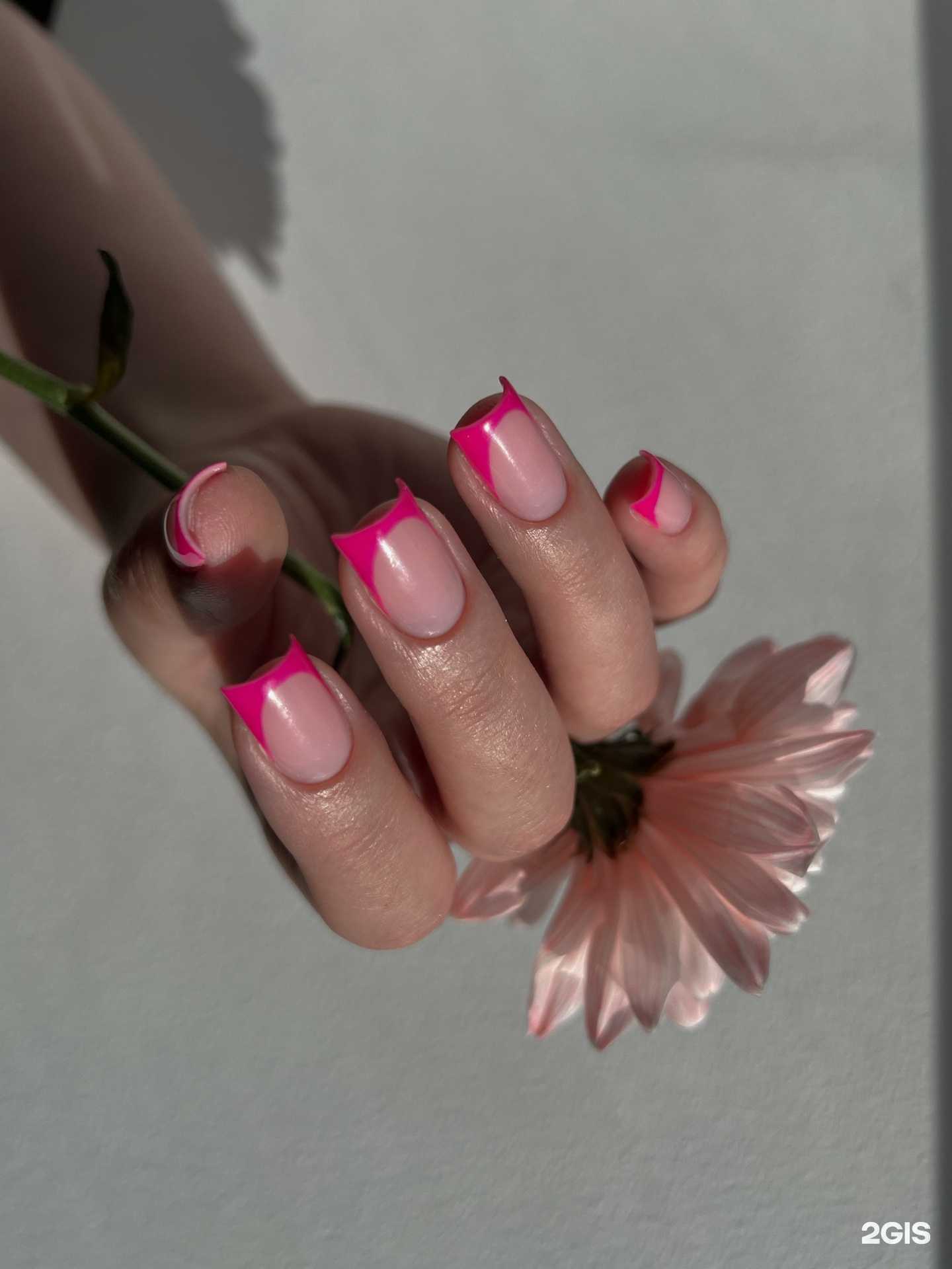 Отзывы на компанию Siianail в Новосибирске c фото