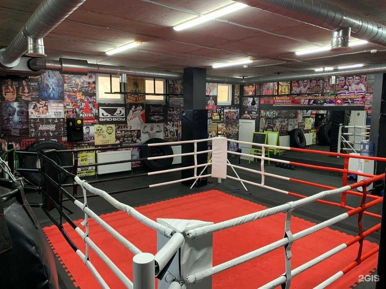 Отзывы на компанию Apollo Gym в Самаре c фото