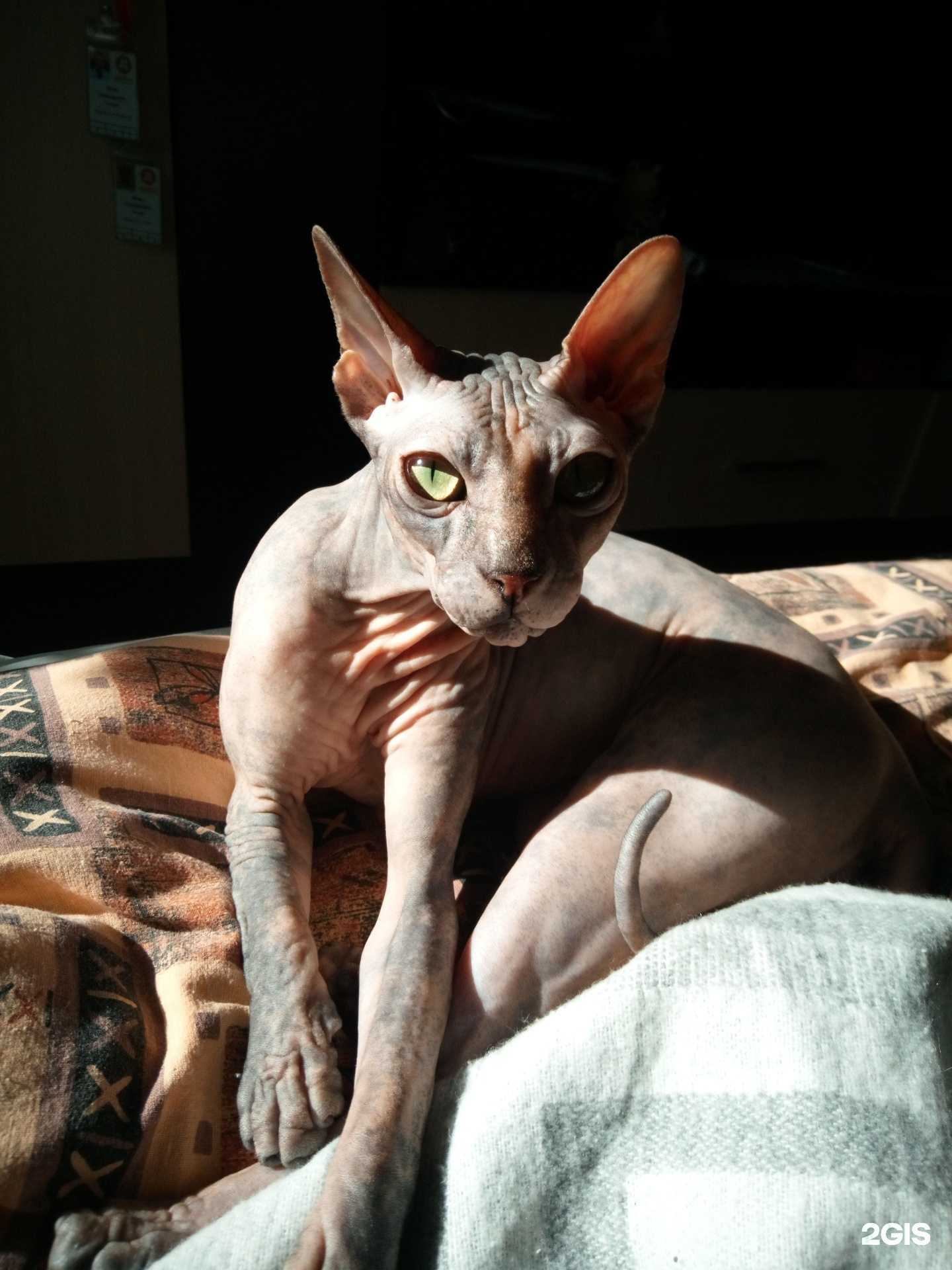 Отзывы на компанию Зооландия в Мурманске c фото