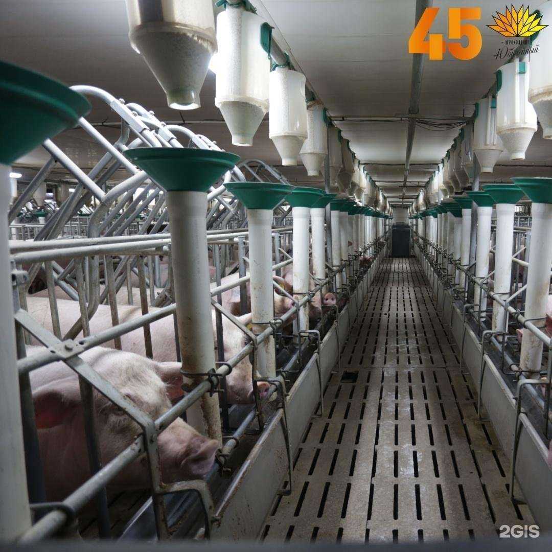 Отзывы на компанию Ишимский в Тюмени c фото