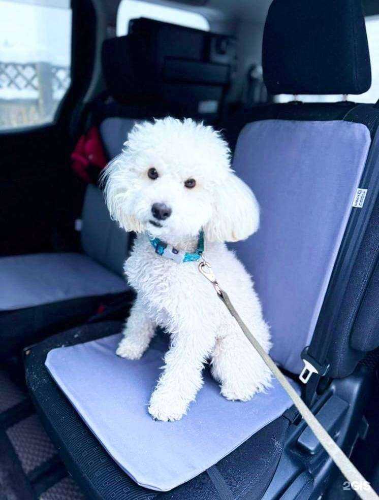 Отзывы на компанию Олбох в г. Якутск c фото