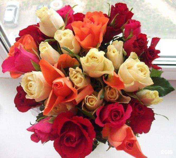 Отзывы на компанию ЦветНовТорг в г. Великий Новгород c фото