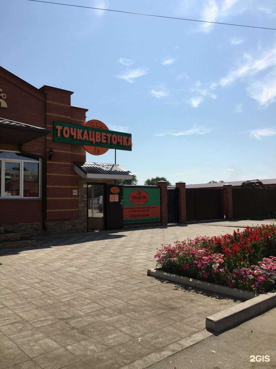 Отзывы на компанию Точкацветочка в Черногорске c фото - фотография 2 из 2