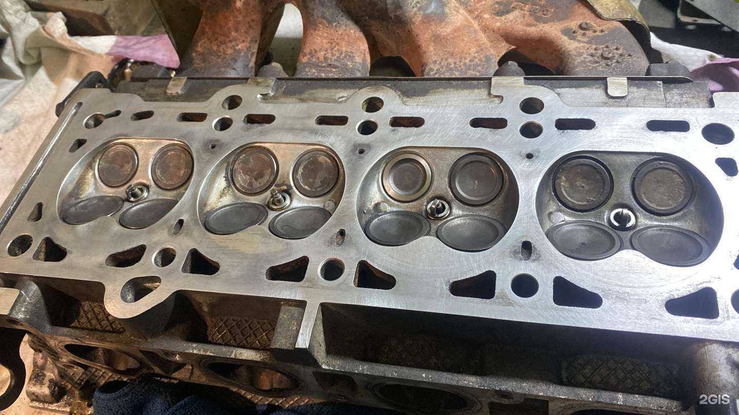 Отзывы на компанию Лев в г. Бердск c фото