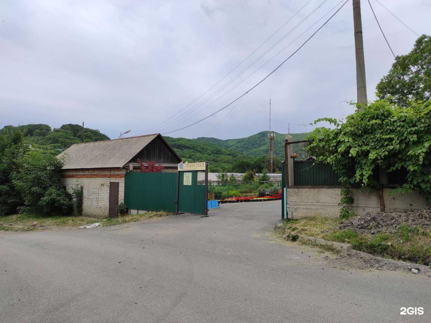 Отзывы на компанию Зеленое хозяйство в Находке c фото