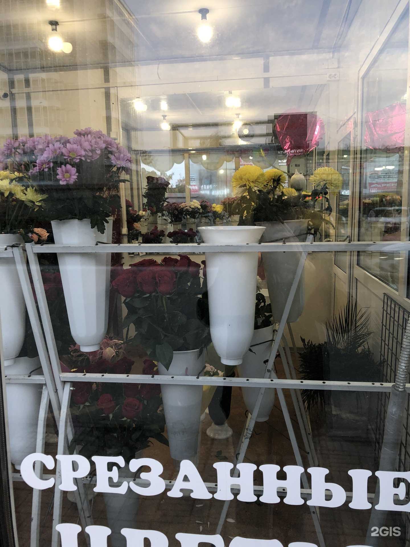 Отзывы на компанию Грация в Новосибирске c фото - фотография 2 из 2