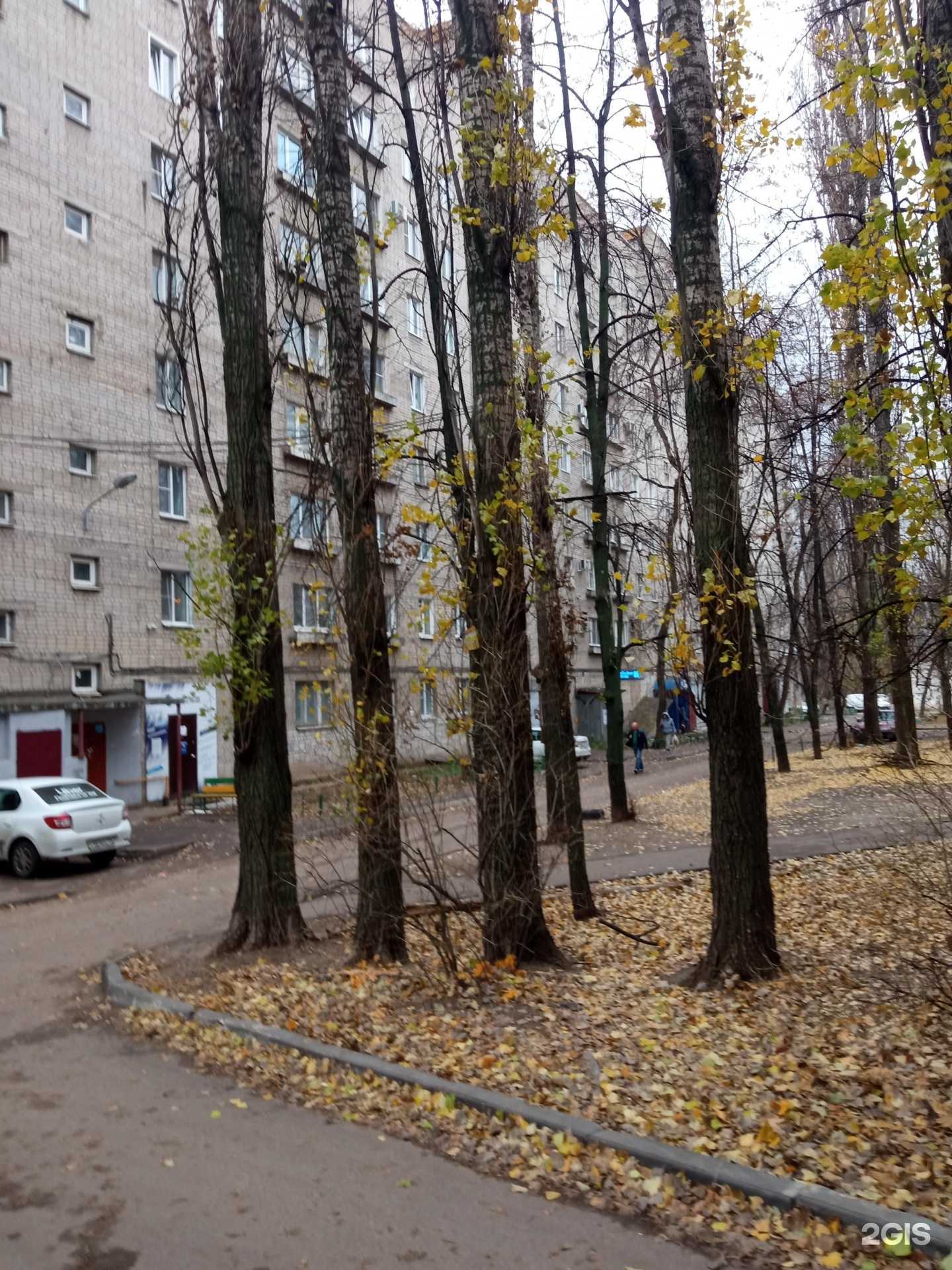 Отзывы на компанию Дентал-Офис в Воронеже c фото - фотография 2 из 2