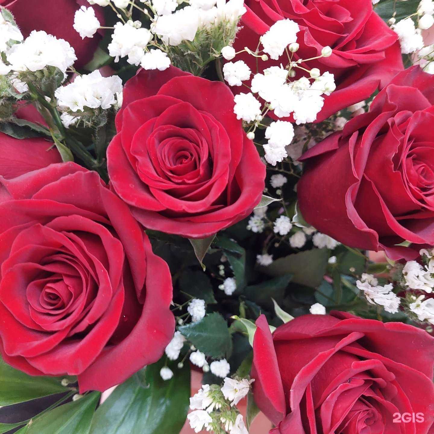 Отзывы на компанию Магазин цветов в Новосибирске c фото