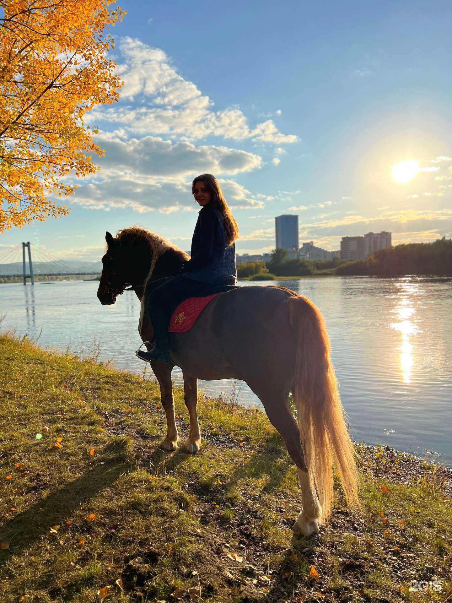 Отзывы на компанию Карета_24 в г. Красноярск c фото