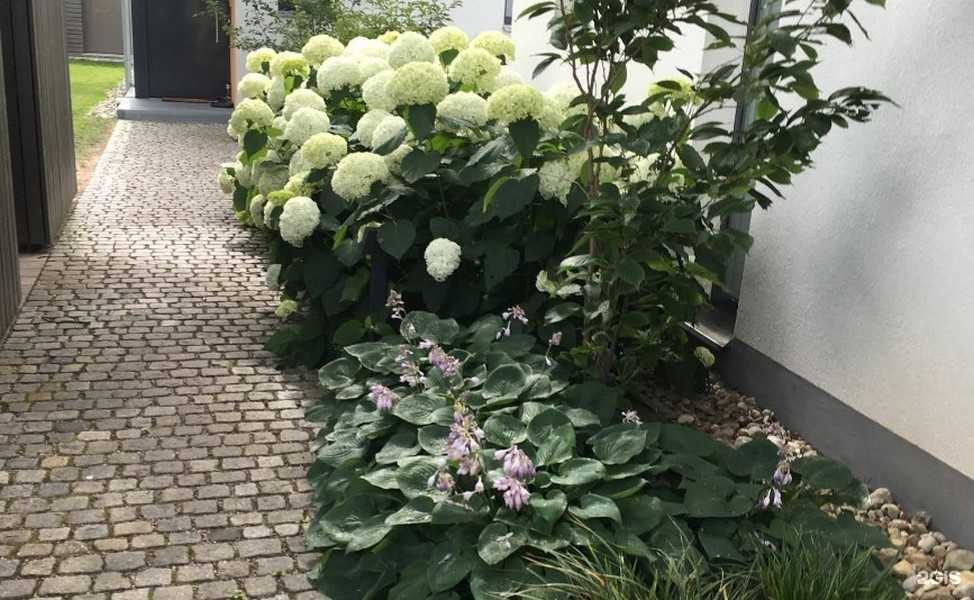 Отзывы на компанию ДезСанПлюс в г. Иркутск c фото