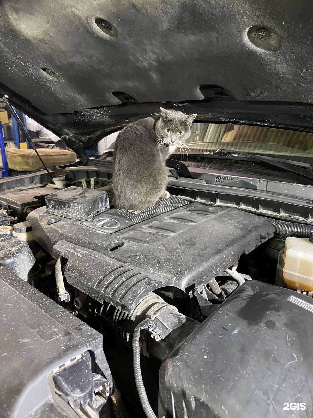 Отзывы на компанию Рус86 в г. Нижневартовск c фото