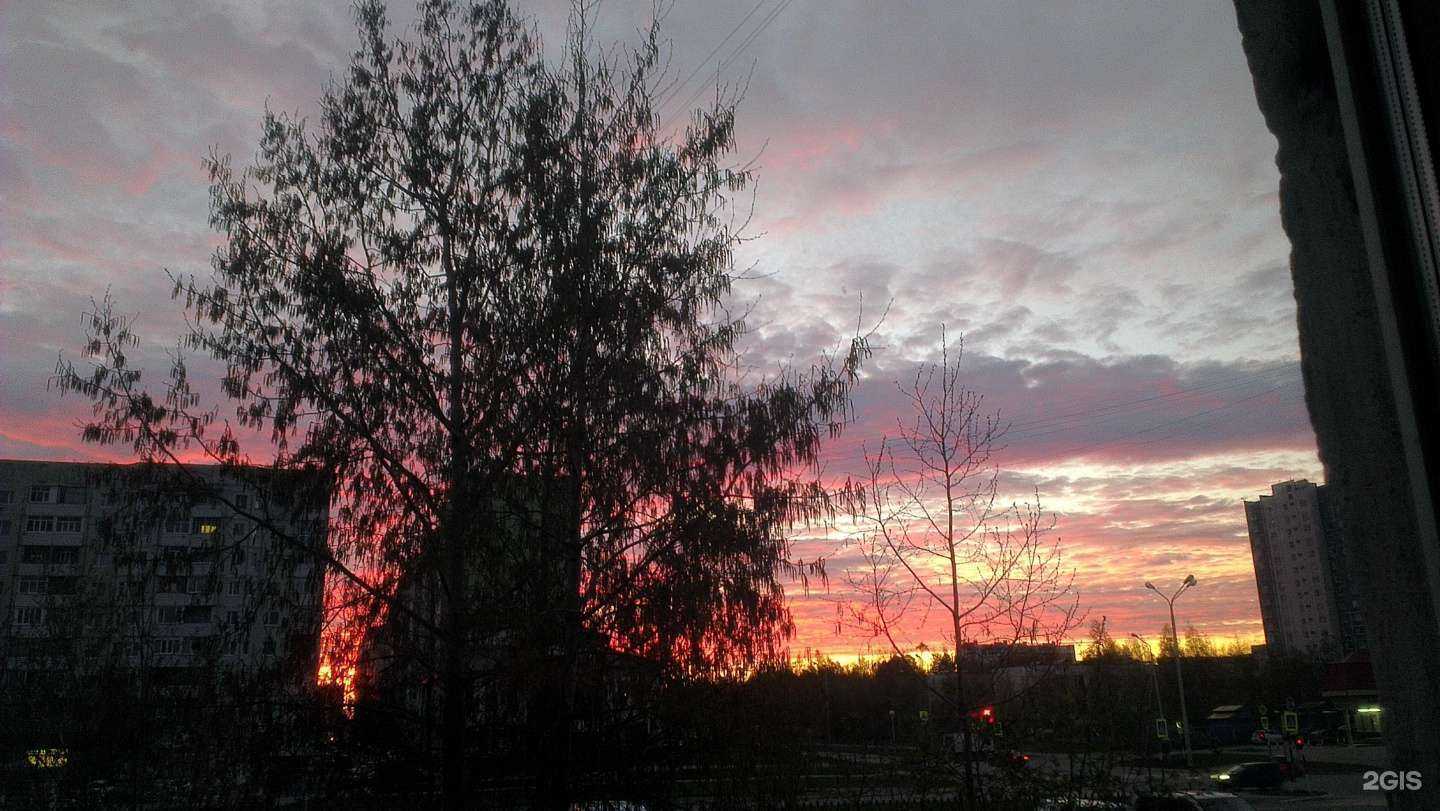 Отзывы на компанию Остеомед в Нижневартовске c фото - фотография 2 из 2