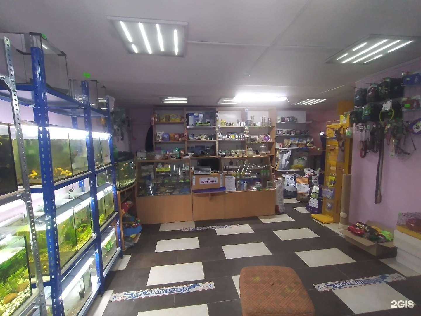 Отзывы на компанию Гурами в г. Калининград c фото