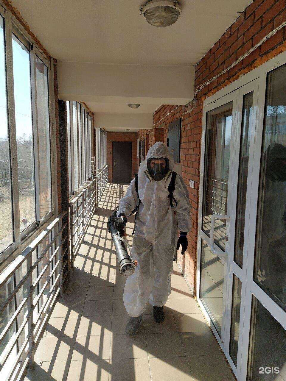 Отзывы на компанию Дез-дом в Красноярске c фото